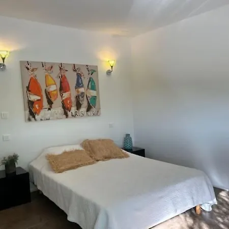 Standing Palombaggia 10 Personnes Vue Mer, Piscine Vila